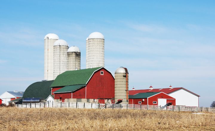 Consultanta pentru constructii agrozootehnice Consultanta pentru constructii agrozootehnice